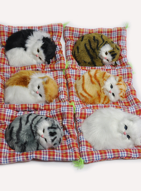 会叫生日礼物玩具卡通猫送朋友