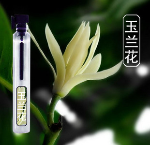 偶遇私家/优雅女生淡香纯花香清新中国白玉兰花香水单一香淡雅
