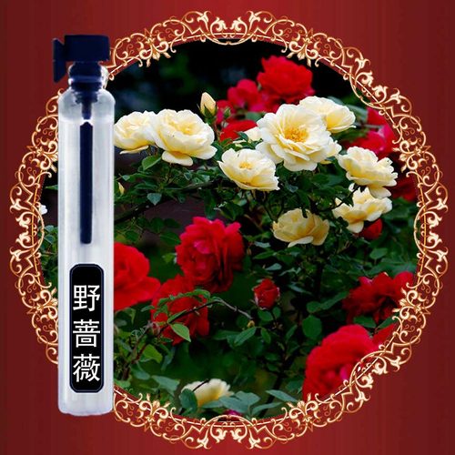 偶遇私家の野蔷薇./ 店主推荐女士淡香水 清新花果香调自然淡香