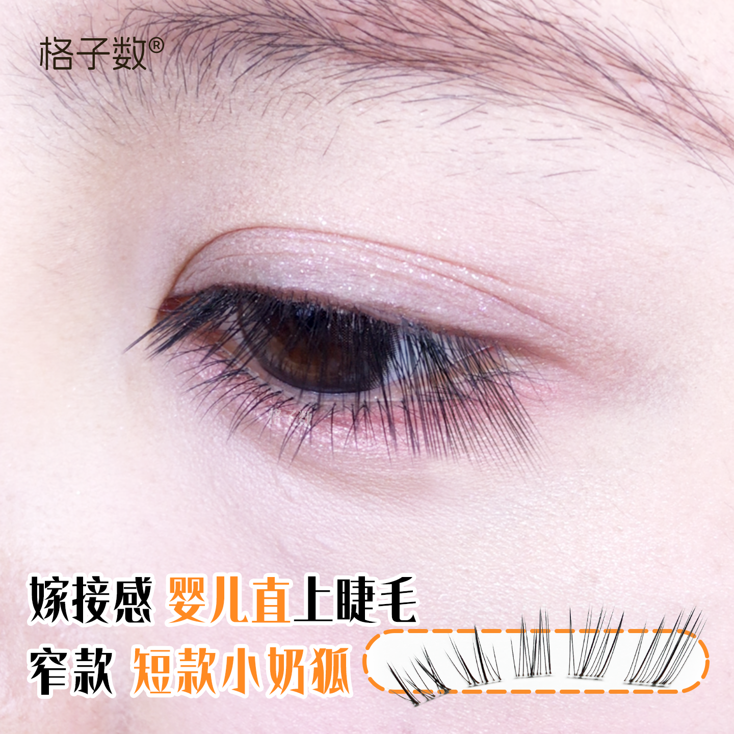小奶狐婴儿直斜飞透明梗假睫毛