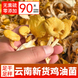 云南鸡油菌干货黄金菇榆黄菇香菇山珍土特产 野生黄丝菌新货