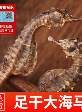 正宗大海马干货膨腹可分公母养殖带标识齐全正品溯源可查海味原料