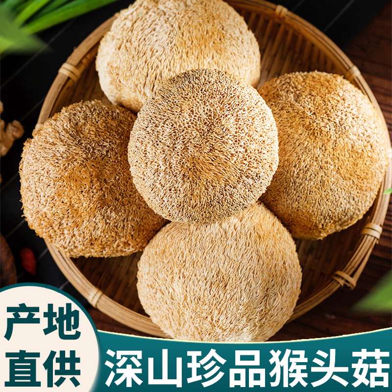 猴头菇干货500g 特级野蘑菇煲汤猴头菌茹补胃特产装包邮煲汤猴菇