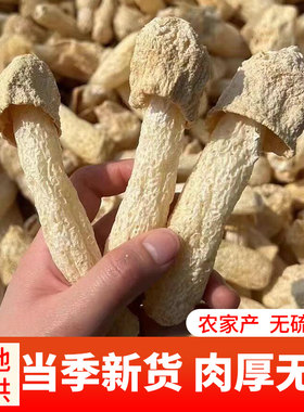 富昌竹荪干货50g古田特级