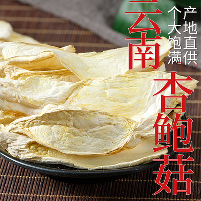 云南特产品杏鲍菇500g香脆鸡腿菇香菇干货干菌菇一包自然新鲜采摘