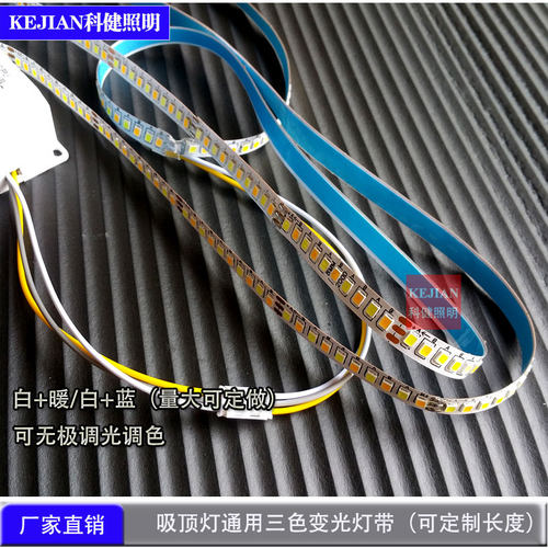 LED双色灯条三色变光定做软灯带