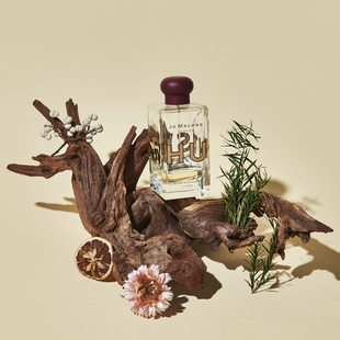 创意拍照道具天然沉木造景 装饰ins静物摄影自然木头陈列摆件干花