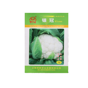 上海长征银冠F1早中熟75天白花椰菜种子80天杂交紧花菜籽