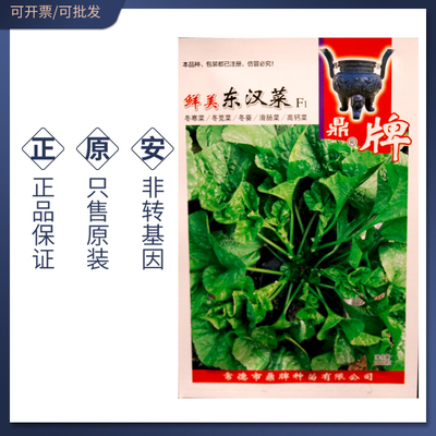 鼎牌鲜美东汉菜种子冬寒菜种籽