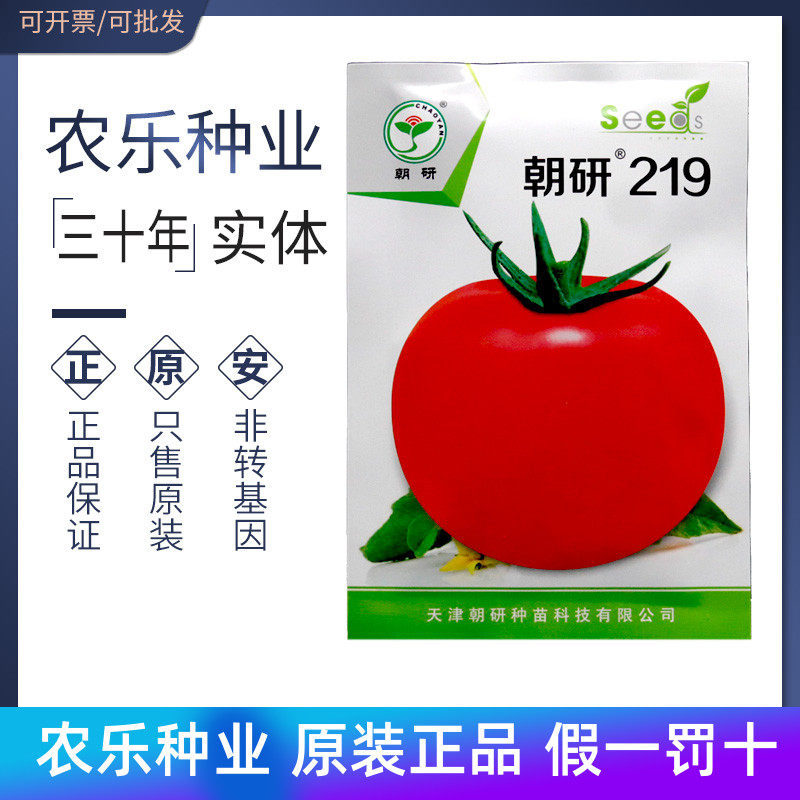 朝研219 番茄种子种籽 大果粉红 中早熟 高产耐贮运包邮