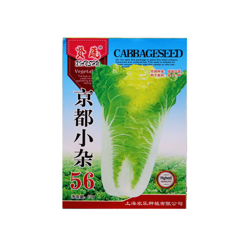 京都小杂56小白菜种籽