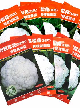 利民松花菜种子青梗花椰菜种籽