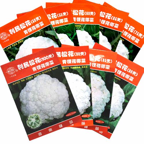 利民松花菜种子青梗花椰菜种籽