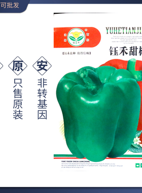甜椒种子青椒种籽方灯笼椒籽菜椒中晚熟肉厚脆甜青红两用