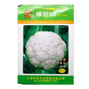 上海长征银冠50天早熟白花椰菜种子花菜种籽杂交紧花菜籽