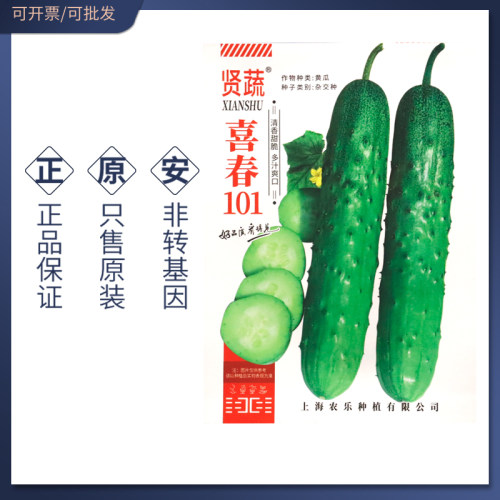 春喜101黄瓜种子早熟黄瓜种籽
