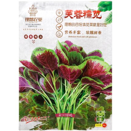 理想芙蓉糯苋菜种子一点红苋菜种籽四倍体苋菜籽青梗软糯