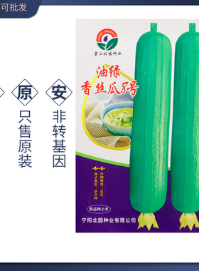 油绿香丝瓜8号种子种籽白籽香丝瓜籽早熟高产瓜皮绿油亮