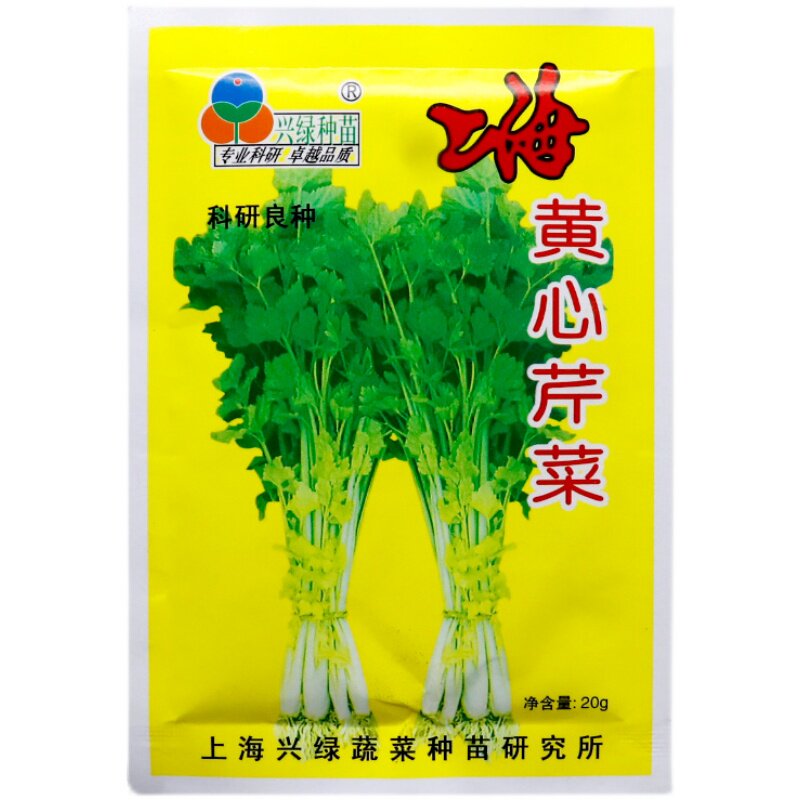 兴绿上海黄心芹种子空心芹菜种籽老品种芹菜味香脆嫩耐热