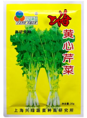 兴绿上海黄心芹种子空心芹菜种籽老品种芹菜味香脆嫩耐热