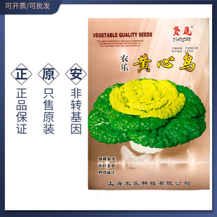 黄心乌种子塌地乌种籽乌塌菜籽火锅菜秋播耐寒高产口感好