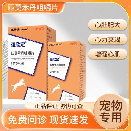 拜臣强欣定匹莫苯丹咀嚼片5mg宠物狗狗心脏肥大咳嗽心脏心力衰竭