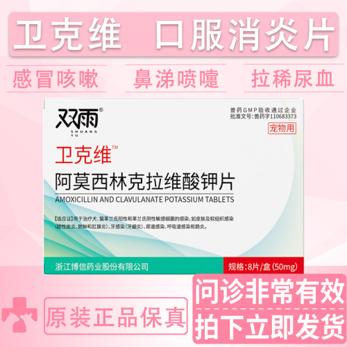 猫咪呕吐消炎片犬窝咳