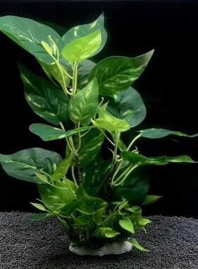 仿真水族馆塑料水草假花色泽艳丽