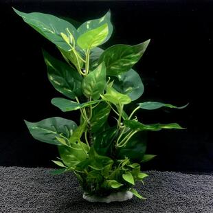 鱼缸乌龟缸布景植物仿真水草大叶榕桔色假花塑料花草居家摆件