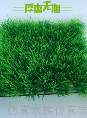 鱼缸造景柔软特密铺底绿草皮仿真水族装饰草坪超市背景墙绿色包邮