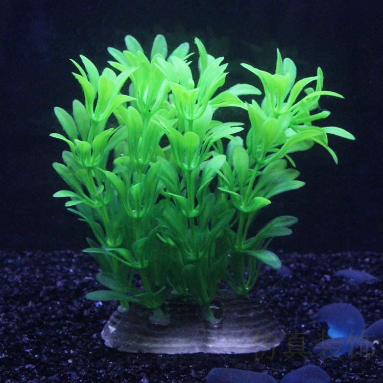 仿真小水草新款假海草水族箱鱼缸造景装饰塑料草绿色前中景植物