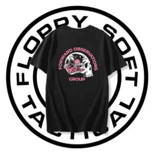 Forward observations Group “PARADISE 