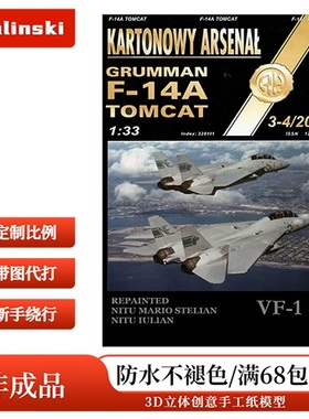 Halinski KA 2001-03-04 - F-14-VF-1-GRI