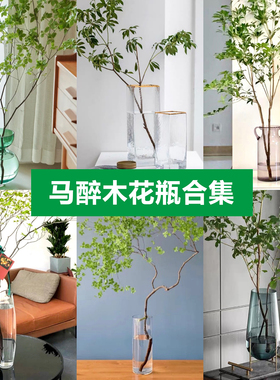 Winhoo轻奢玻璃中国通用个性花瓶