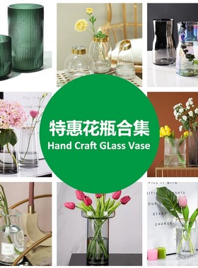 超值特惠玻璃花瓶水培装饰摆件