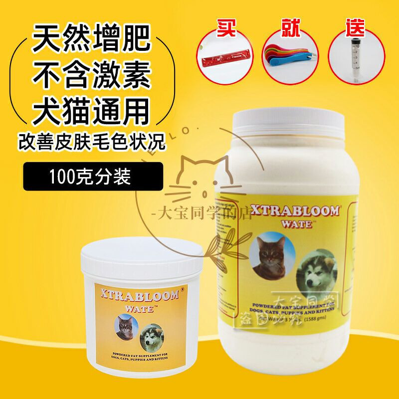 现货大宝同学美国猫增肥