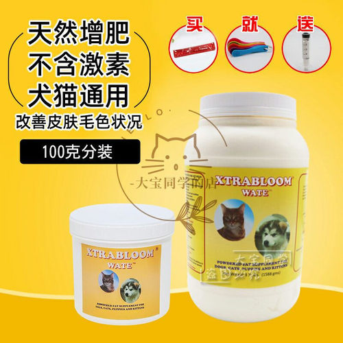 现货大宝同学美国猫增肥