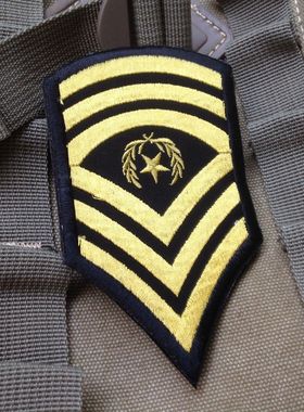 美国101空降师军衔贴3D刺绣魔术贴徽章臂章刺绣补丁军迷贴金黑色