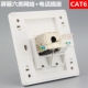 86型双口屏蔽六类网络电话面板CAT6千兆电脑网口电话语音开关插座