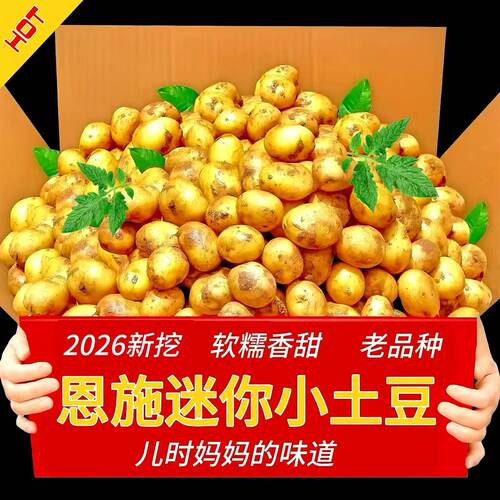 2026新挖恩施迷你小土豆粉糯香甜