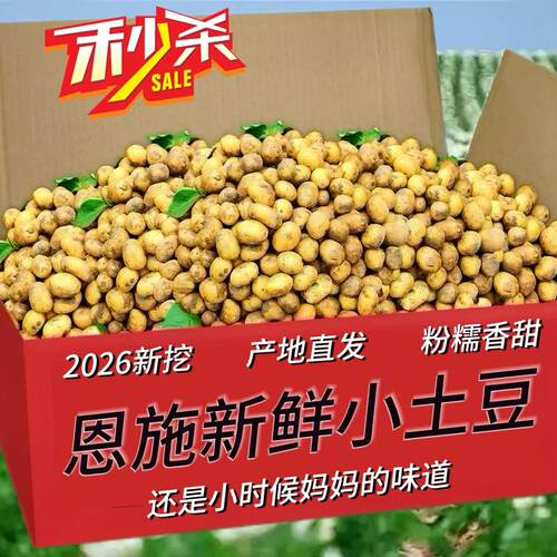 正宗恩施新鲜小土豆迷你超小个农家当季新挖黄心粉糯洋芋产地直发