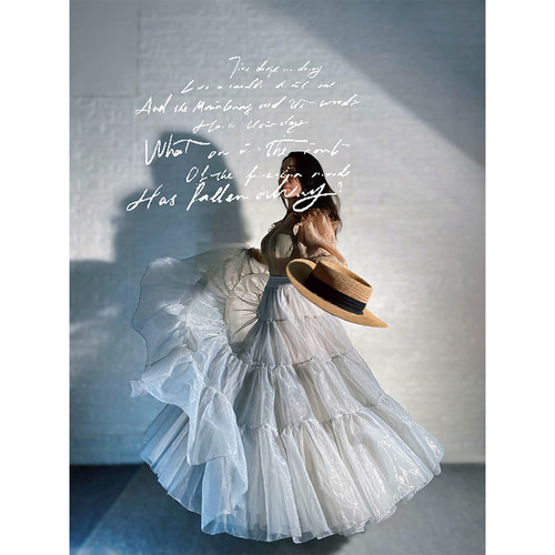 春秋欧根纱拼接大摆长款蓬蓬半裙