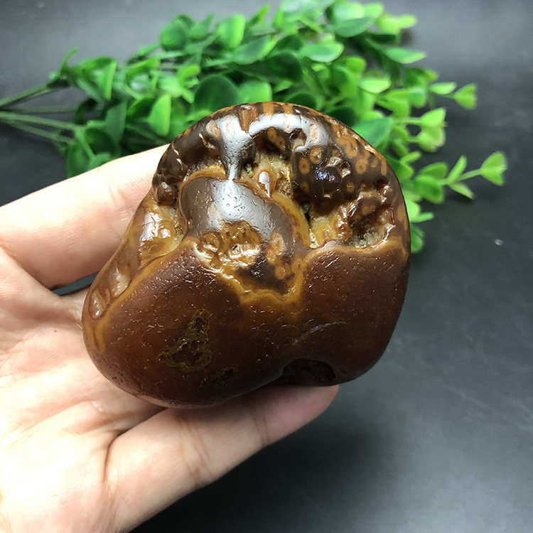 马达加斯加冰彩玛瑙花纹籽料天然象形马料原石收藏石头手把件2202