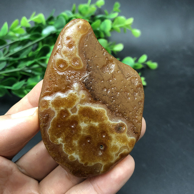 马达加斯加玛瑙花纹籽料天然象形马料原石收藏石头手把件2426