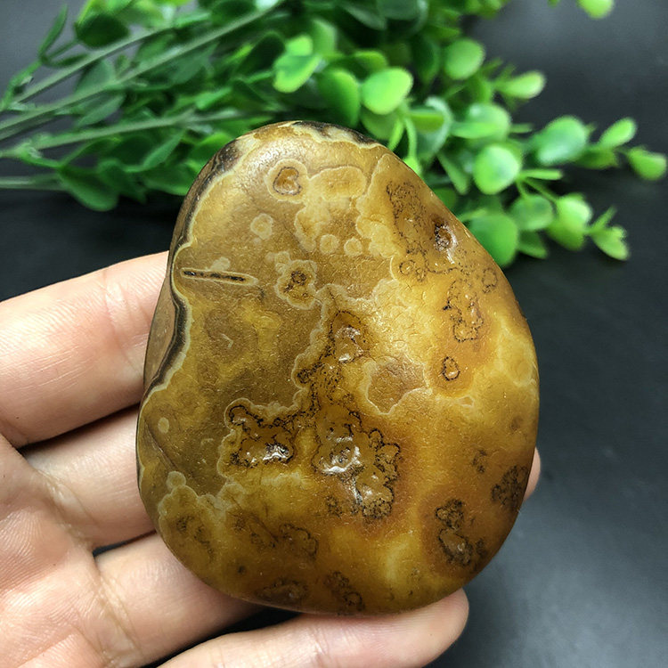 马达加斯加花纹天然象形马料原石石头手把件收藏奇石籽料冰彩1518