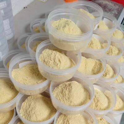 黑水虻虫卵蛋白虫活苗