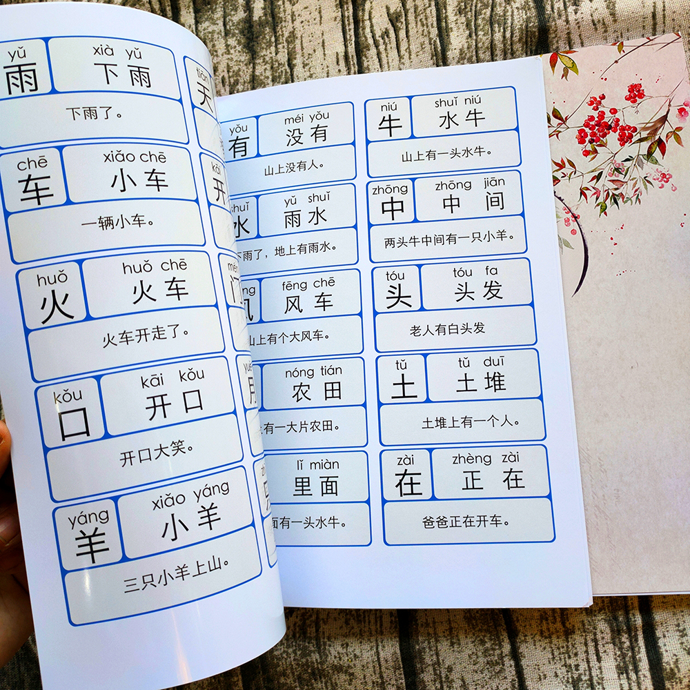 儿童加厚超清幼小衔接阅读识字书