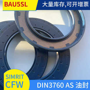 DIN3760 AS /A德标BAU5SL 95*145*13 TC/FB旋转 油封 SIMRIT CFW