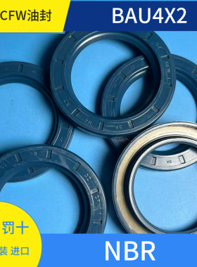 BAU4X2  45*65*8  DIN3760 A 型 德国CFW原装  科德宝SIMRIT油封