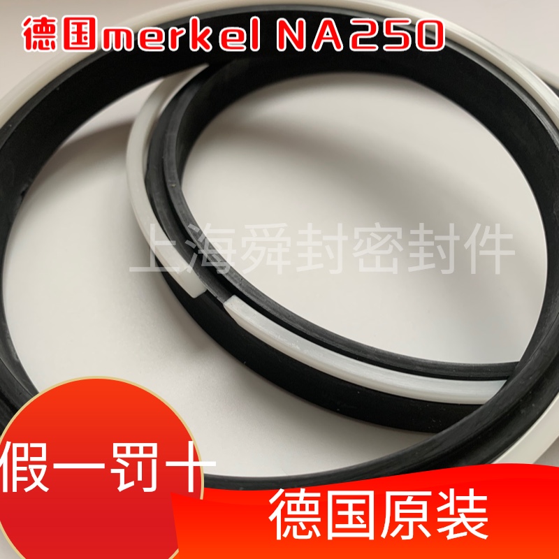 德国CFW麦克迈克Merkel密封圈NA250 140125 15 16 密封件假一罚十